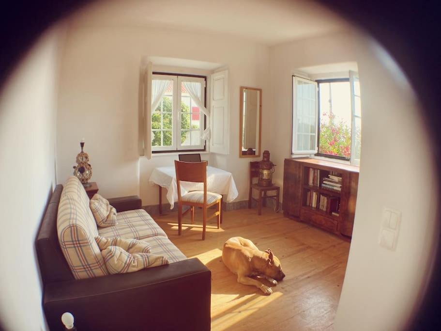 Villa Challet Ericeira Extérieur photo